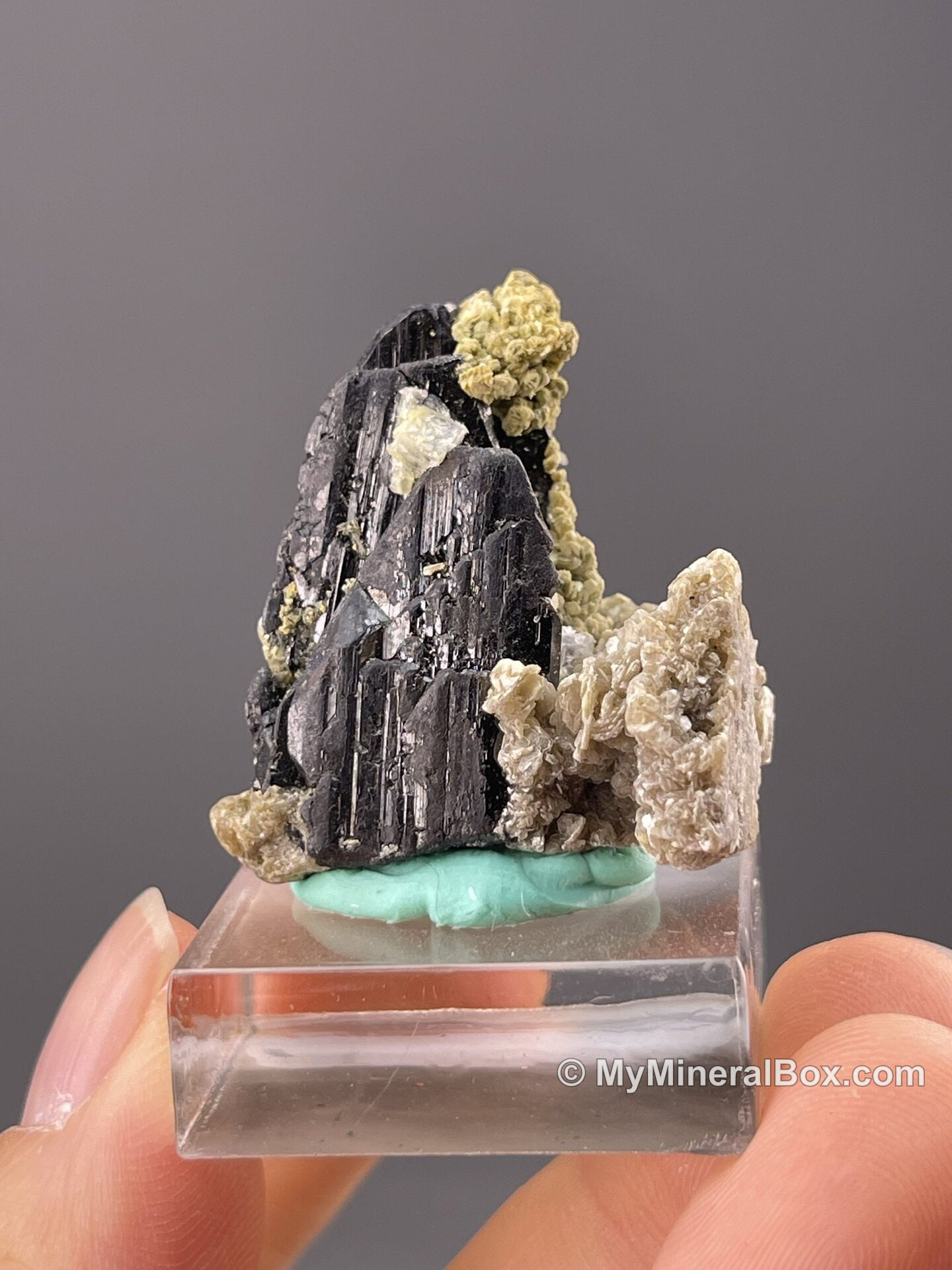 Prismatic black cassiterite crystal from Yaogangxian, Hunan, China