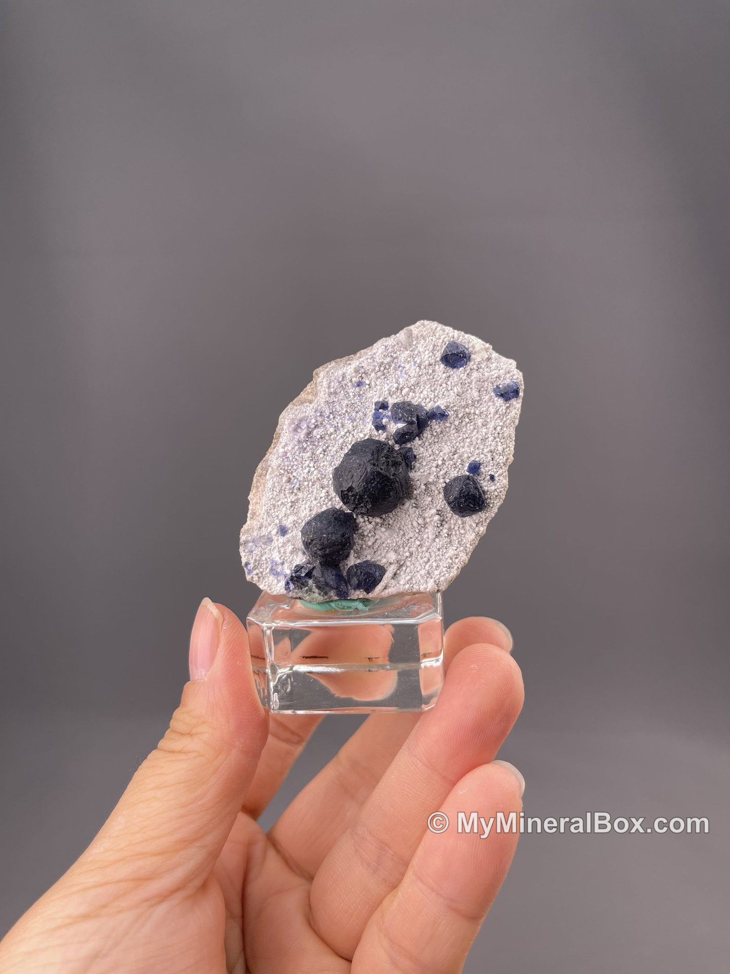 Botryoidal blue fluorite from Inner Mongolia, China — MyMineralBox specimen