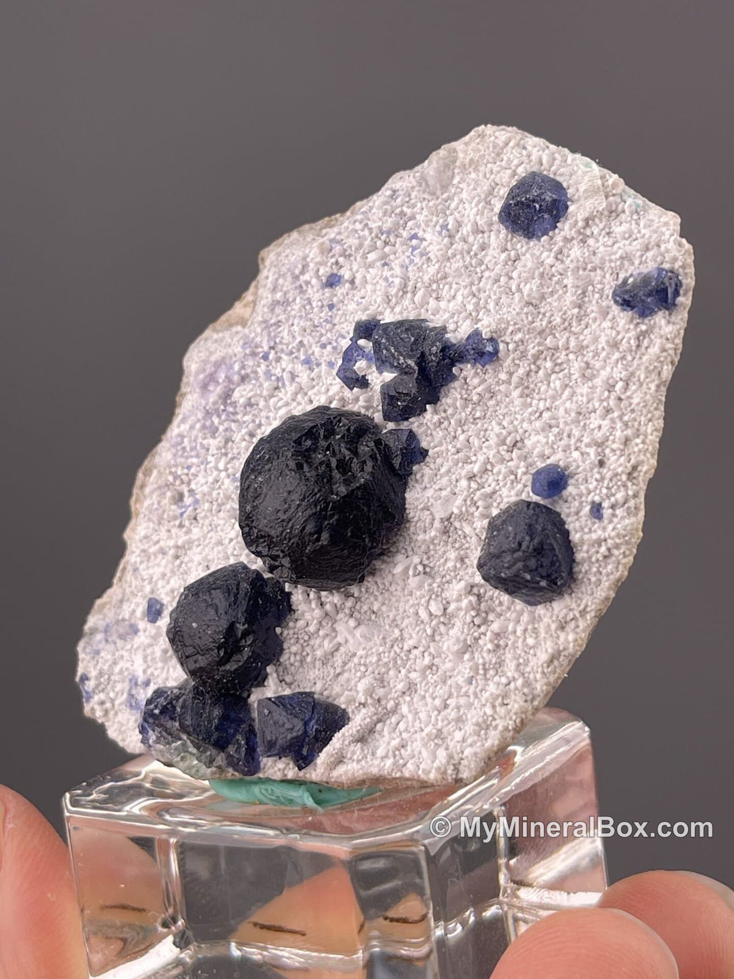 Botryoidal blue fluorite from Inner Mongolia, China — MyMineralBox specimen