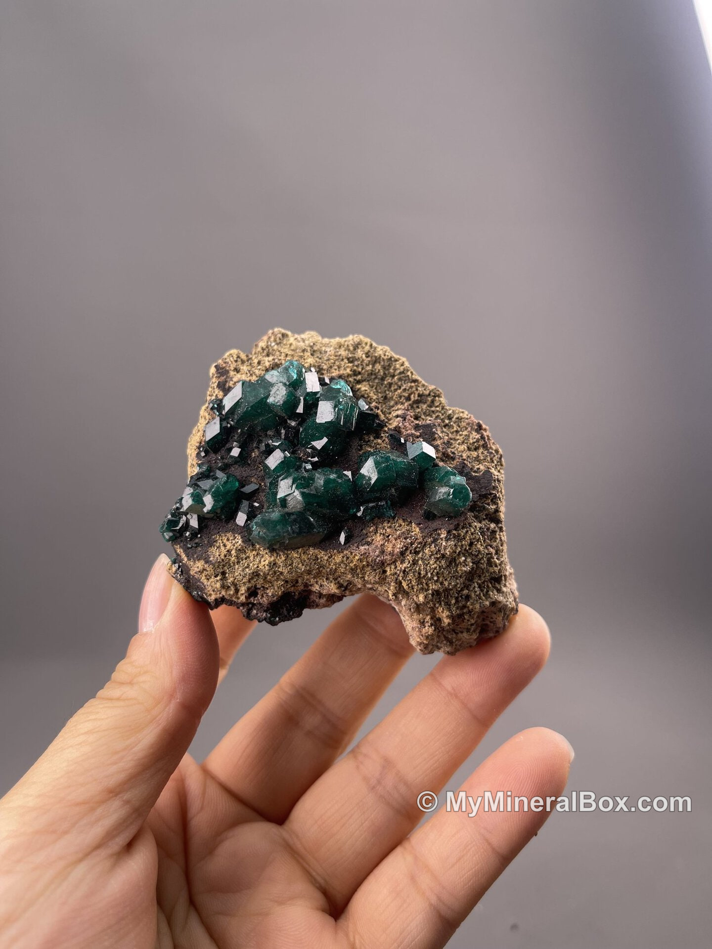 Dioptase Crystal Cluster – Vibrant Green – Tsumeb Mine, Namibia collector review photo