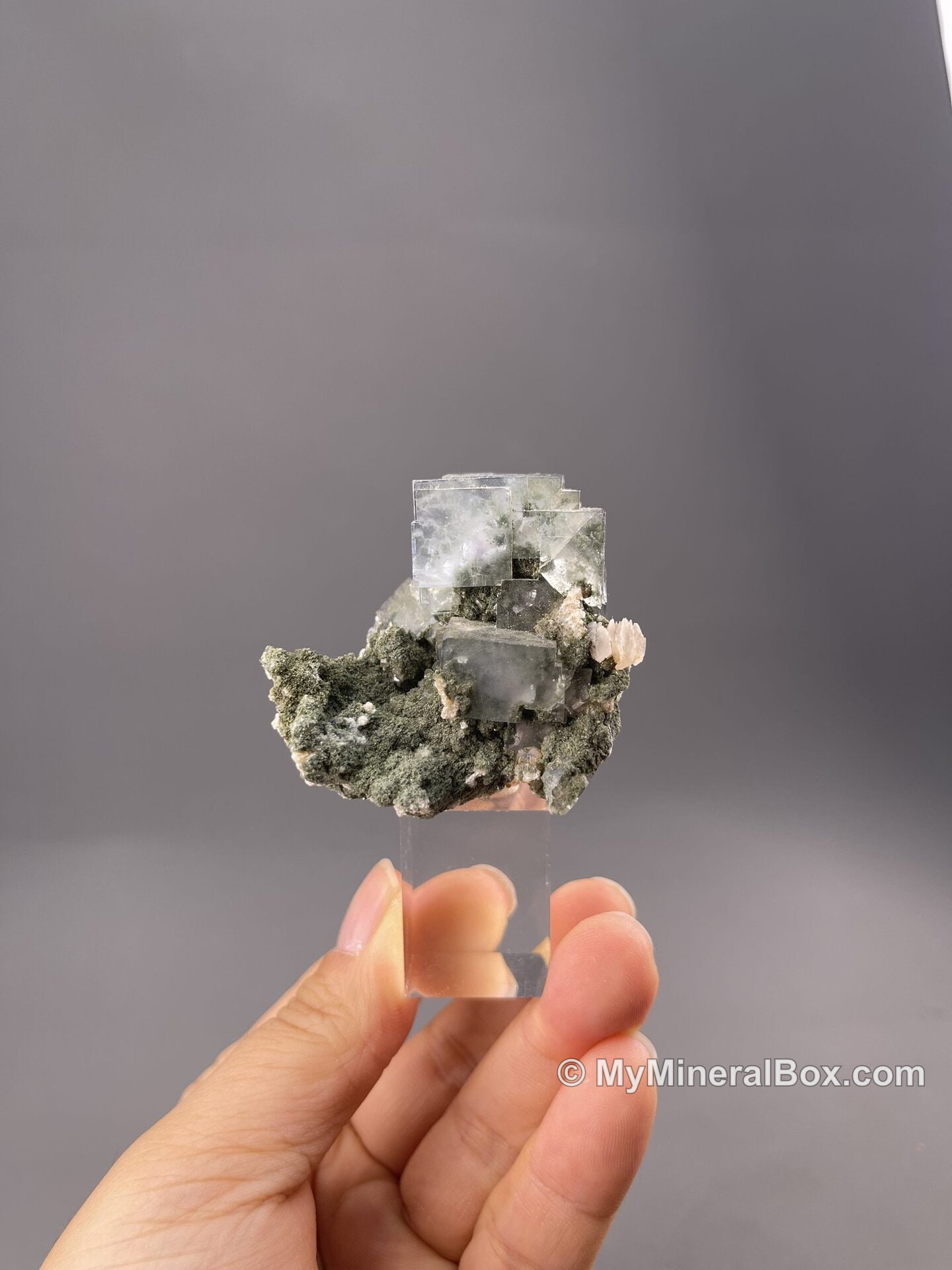 Cubic green fluorite from Yaogangxian Mine, Hunan, China — MyMineralBox specimen