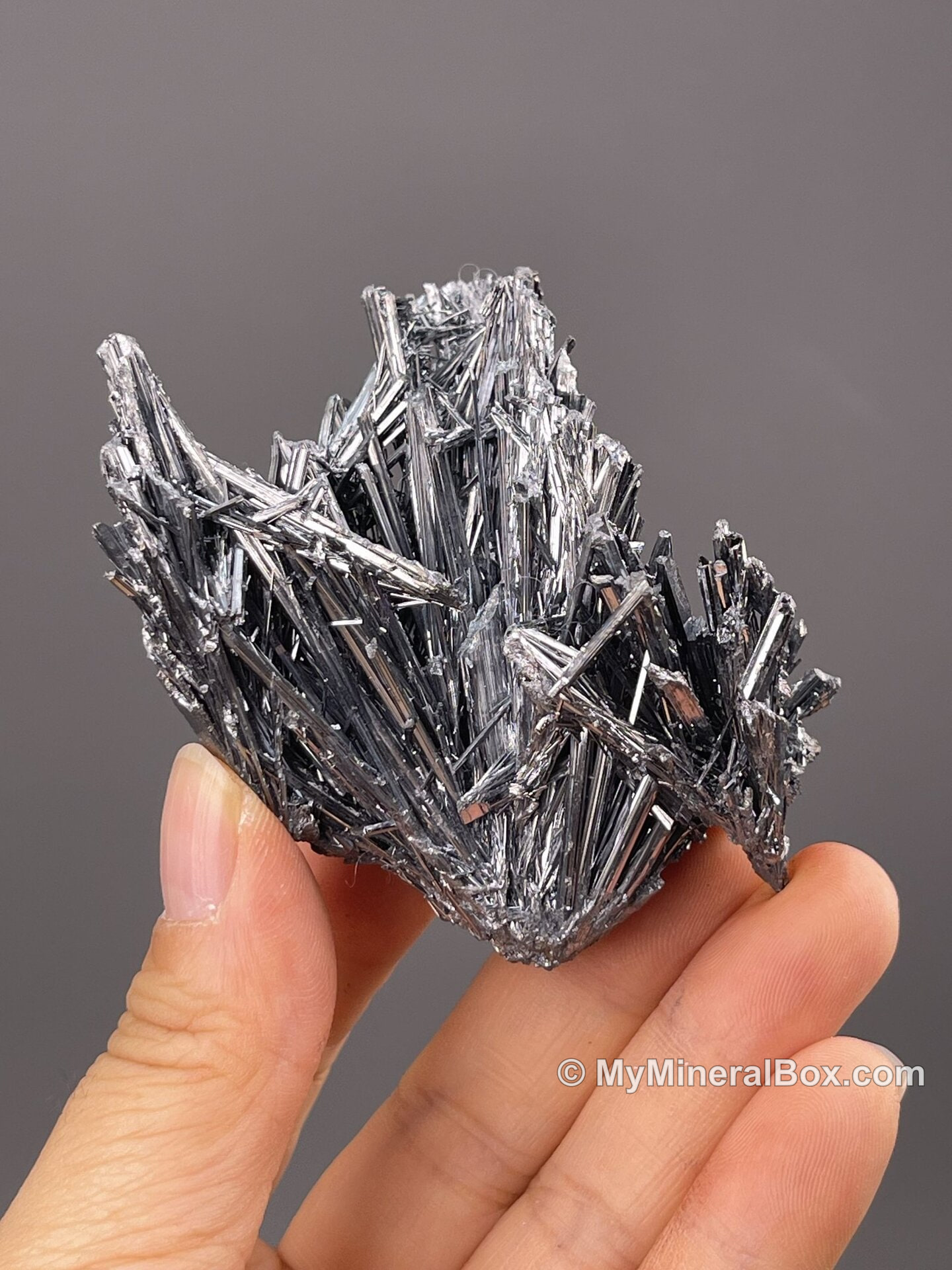 Acicular stibnite from Lengshuijiang, Hunan, China — MyMineralBox specimen