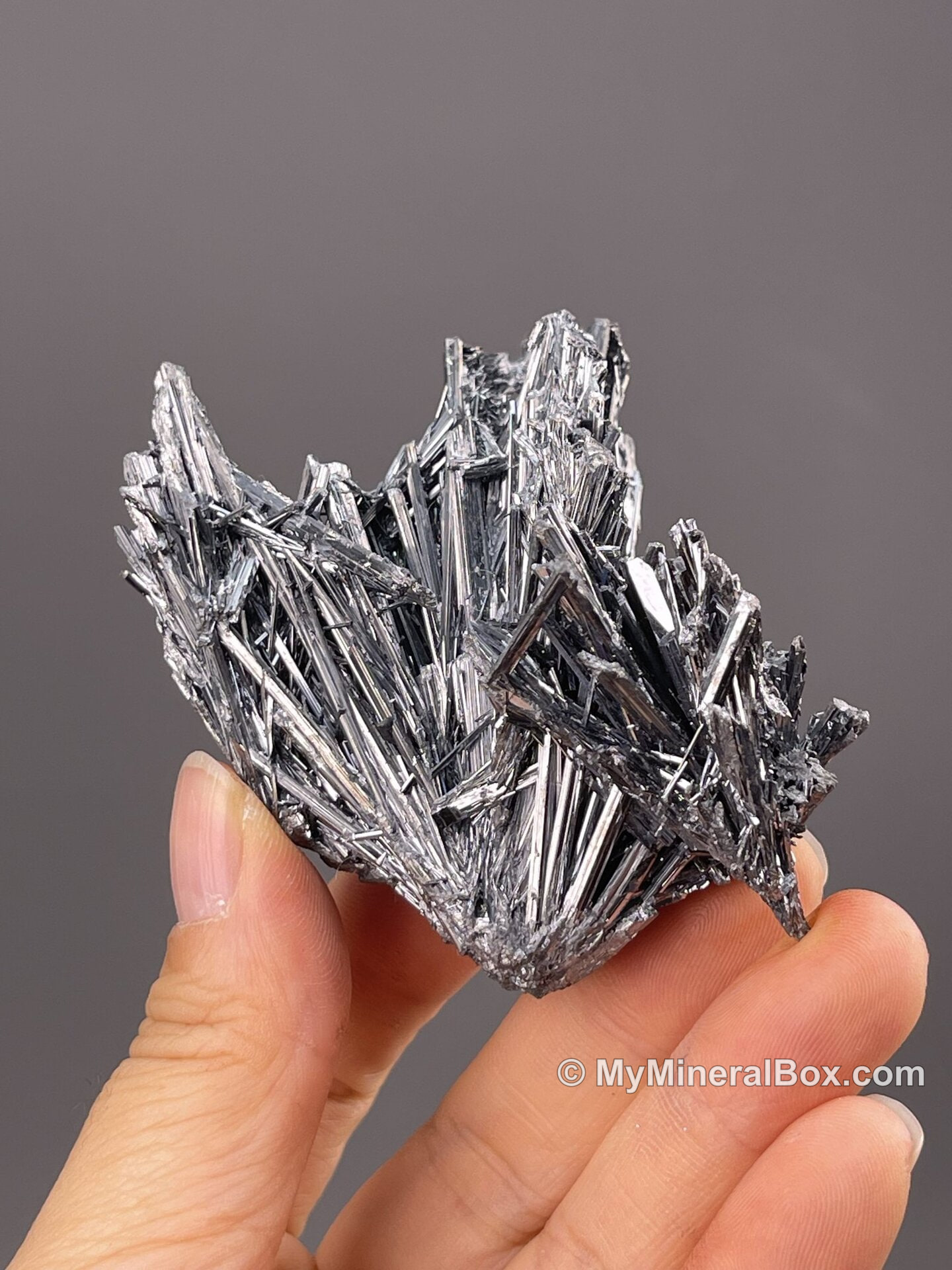 Acicular stibnite from Lengshuijiang, Hunan, China — MyMineralBox specimen