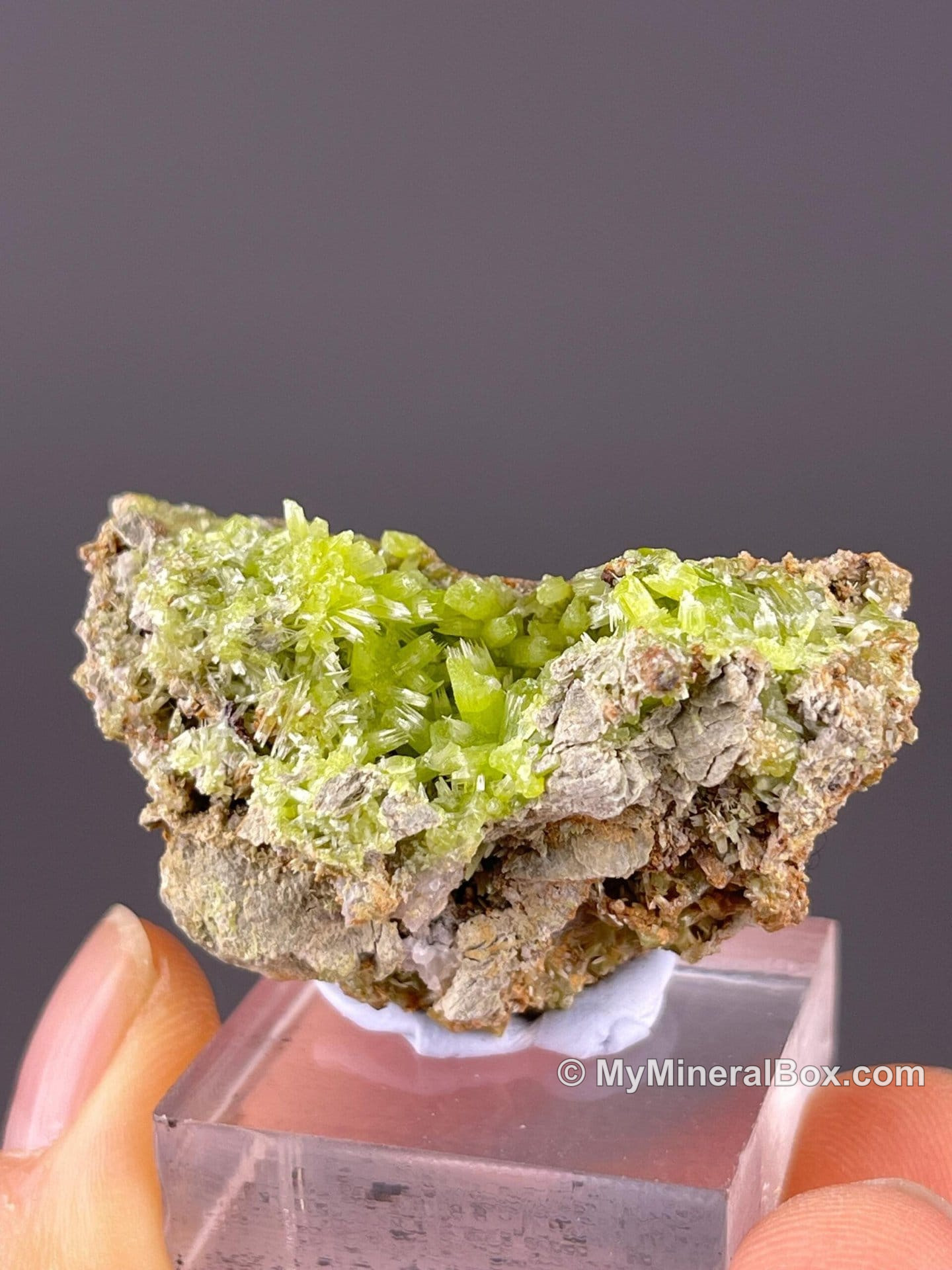 Green pyromorphite from Guangxi, China — MyMineralBox specimen