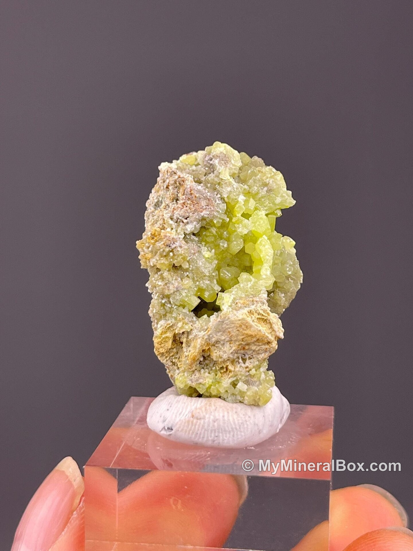 Green pyromorphite cluster from Guangxi, China — MyMineralBox specimen
