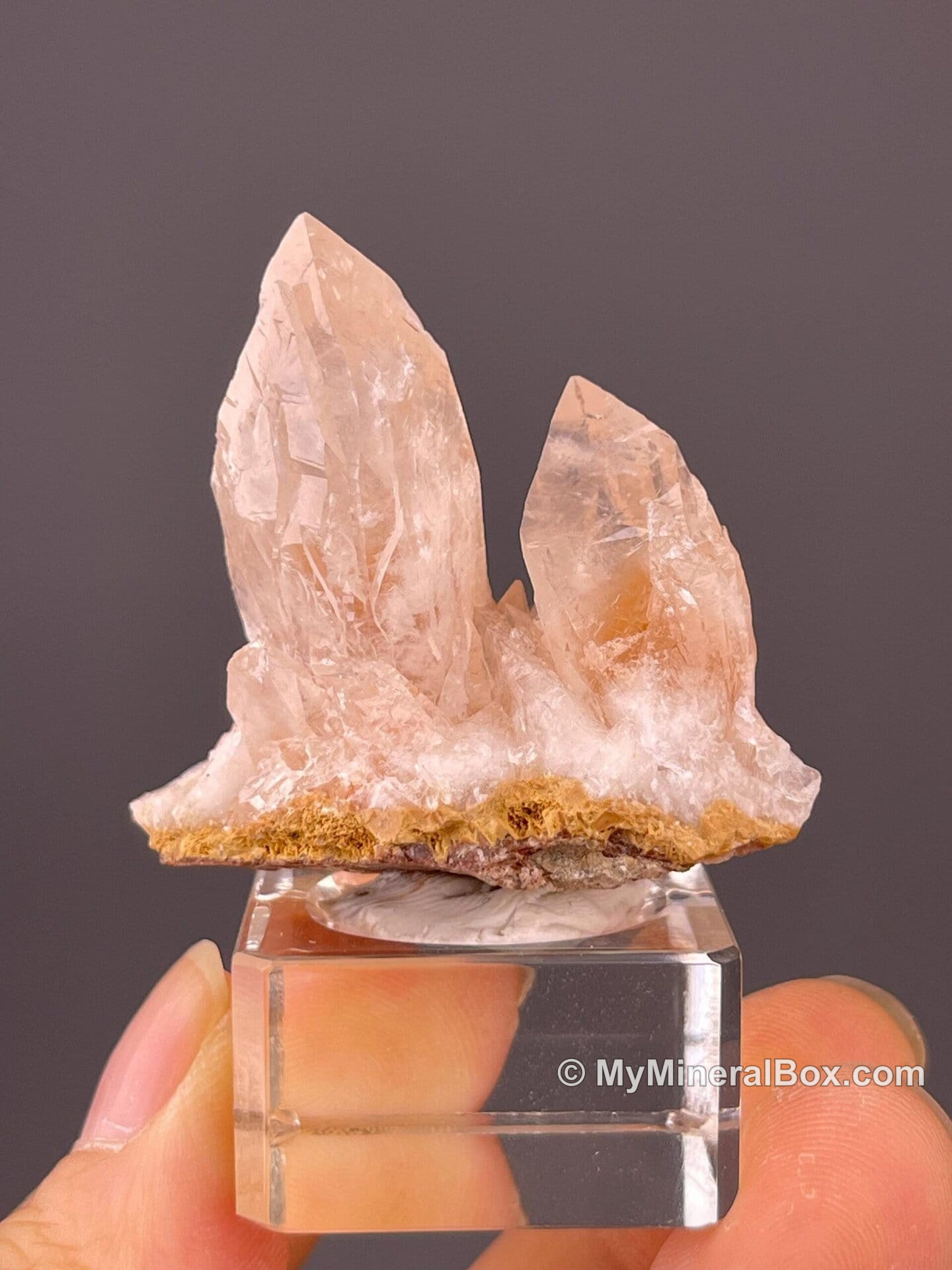 Mineral specimen collector review photo