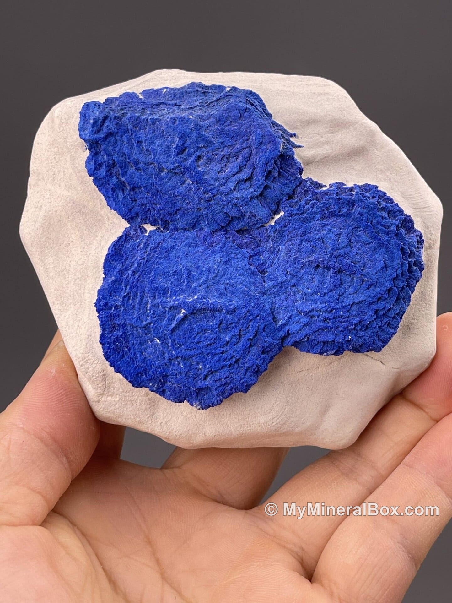 Radiating royal-blue azurite — MyMineralBox specimen