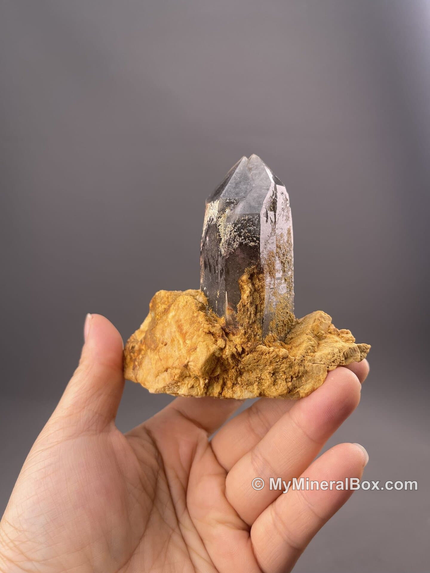 Smoky quartz crystal — the classic matrix mineral of Tongbei spessartine plates — MyMineralBox specimen