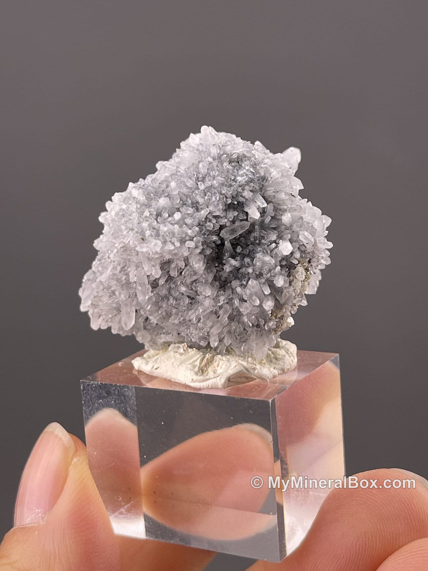 Botryoidal Radial Quartz White Botryoidal Quartz, Fujian Province, China · MyMineralBox