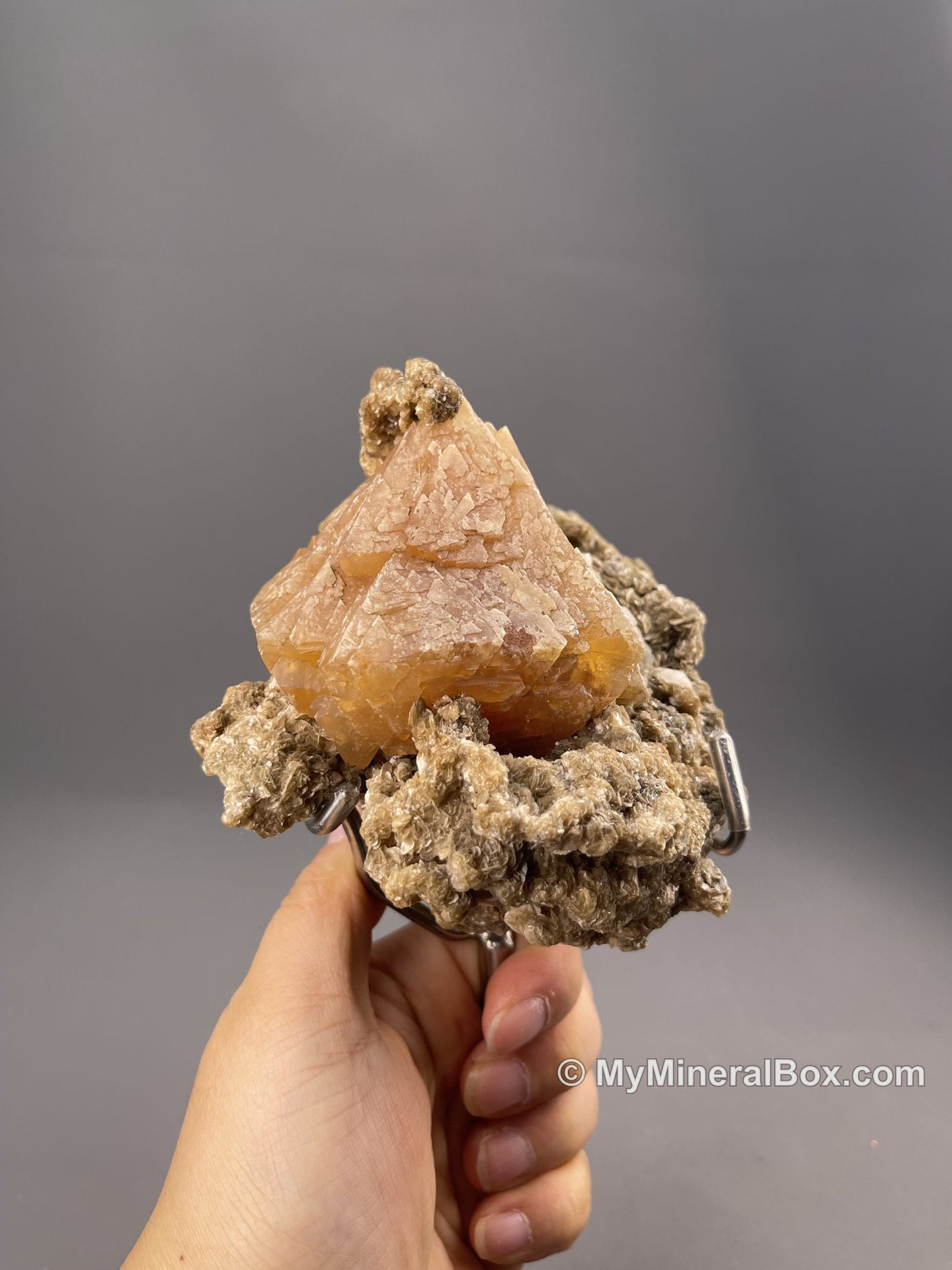 Scheelite from Mount Xuebaoding, Sichuan — MyMineralBox specimen