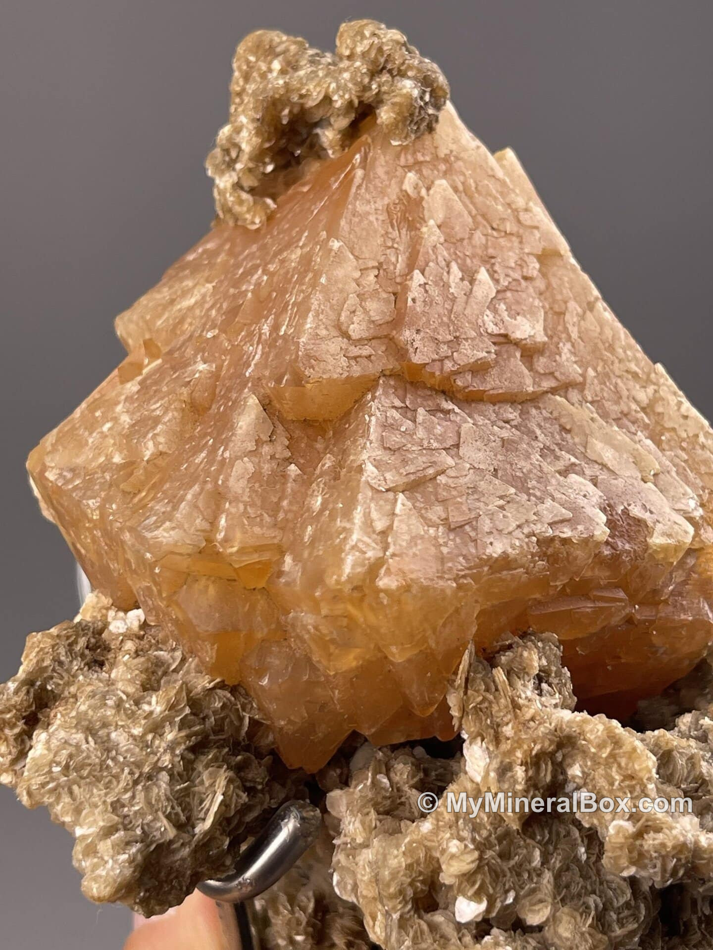 Octahedral scheelite from Mount Xuebaoding, Sichuan, China — MyMineralBox specimen