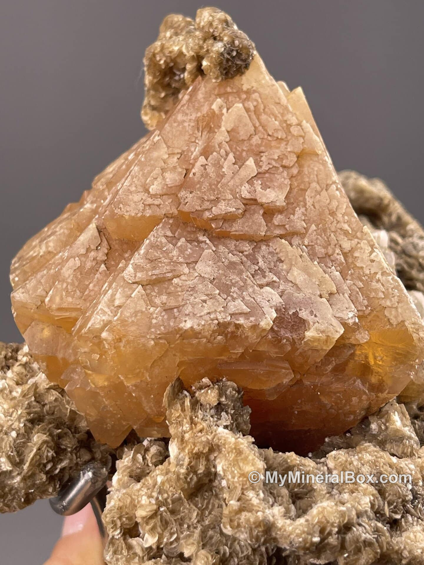 Octahedral scheelite from Mount Xuebaoding, Sichuan — MyMineralBox specimen